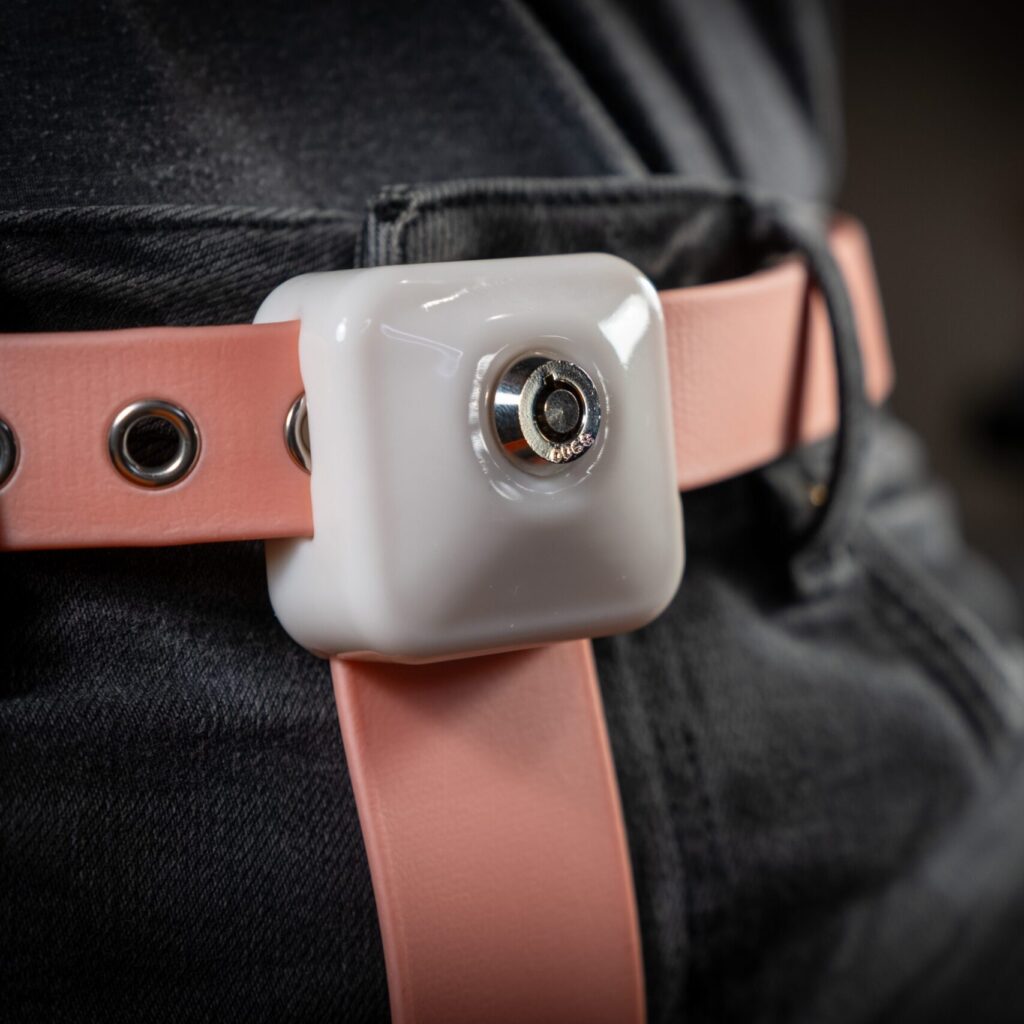 Biothane locking waist belt